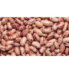 Sugar beans 500g (All Brands)