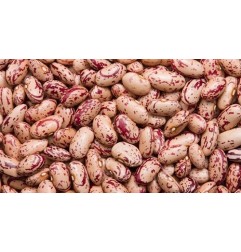 Sugar Beans 500g
