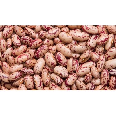 Sugar Beans 500g