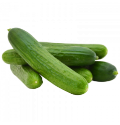 Cucumber P/Kg Loca