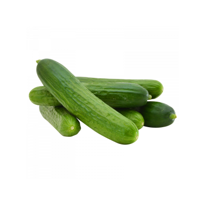 Cucumber P/Kg Loca