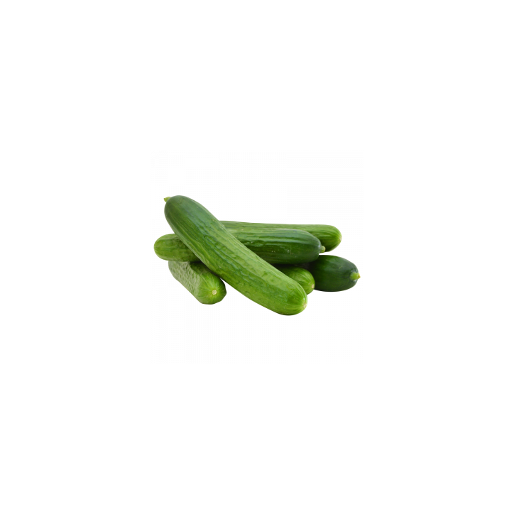 Cucumber P/Kg Loca