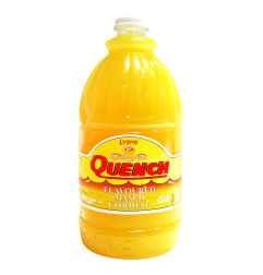 Quench mango drink 2lt